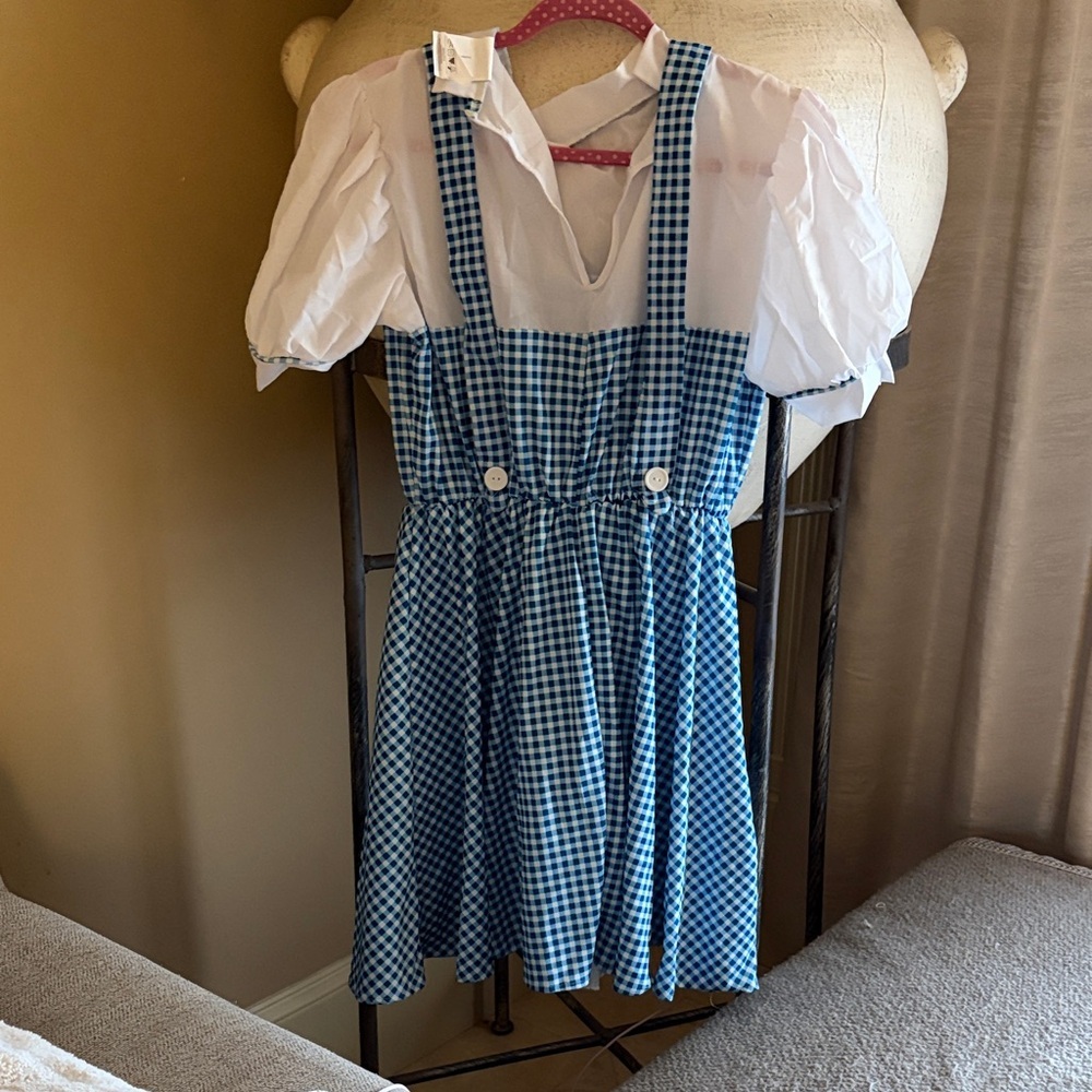 Rubie's Dorthy The Wizard of Oz Blue and White Checkered Dress - Picture 2 of 6